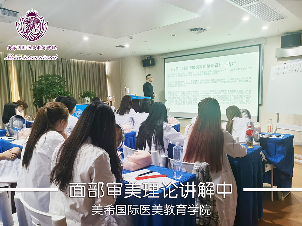 面部审美理论讲解
