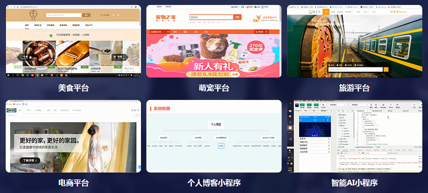 毕业答辩项目案例