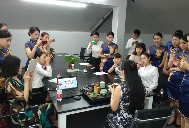 茶艺教学 茶艺教学