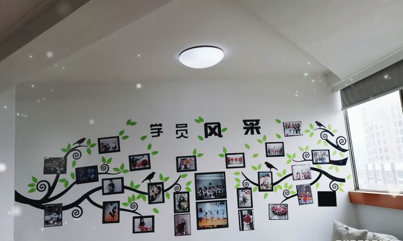 学员风采展示墙