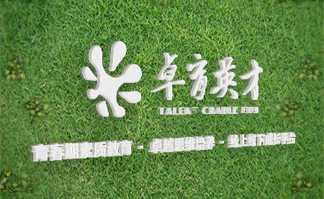 南京卓育英才培训机构