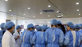 纯针与锐针的临床应用与打法 纯针与锐针的临床应用与打法