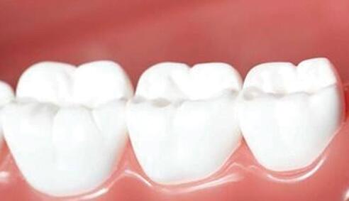 材料与仪器 材料与仪器