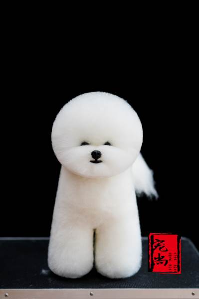 宠物美容作品欣赏