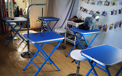 南京森马宠物美容培训机构 南京森马宠物美容培训机构