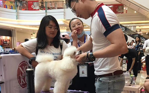 授课现场 授课现场