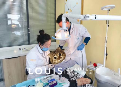 导师示范 导师示范