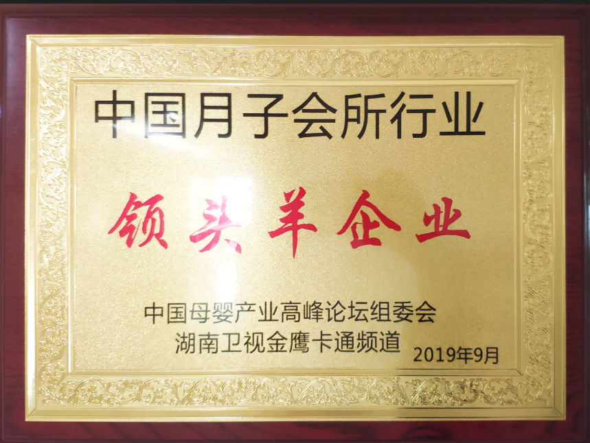 中国月子会所行业 领头羊企业