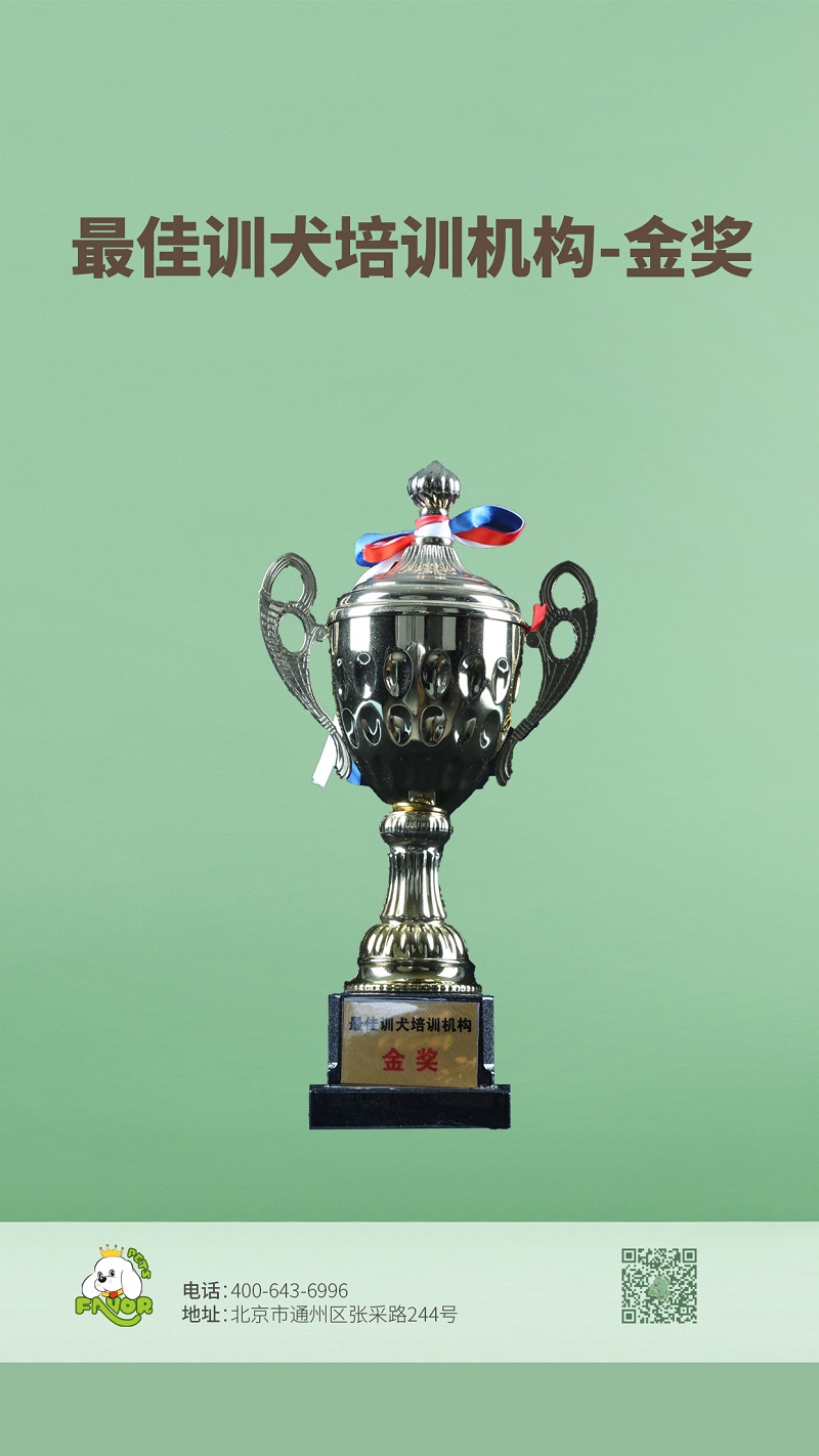 最佳训犬培训机构