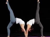 哈他瑜伽 哈他瑜伽