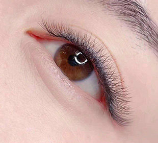 美睫工具的认识和使用