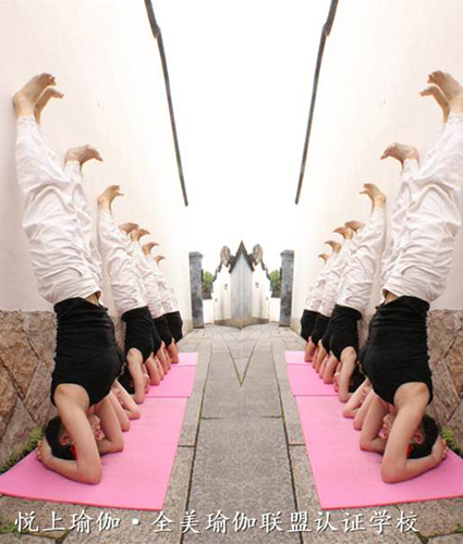 瑜伽教培