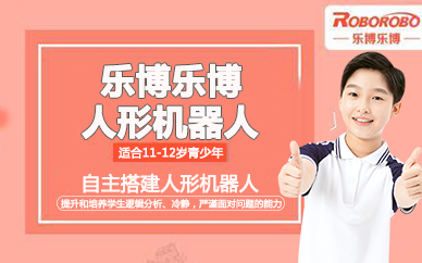 福州青少年编程人形机器人培训班