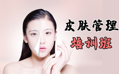 成都皮肤管理培训班