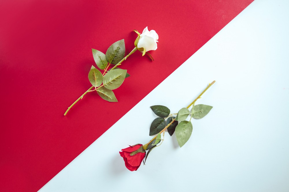 教学目的 教学目的