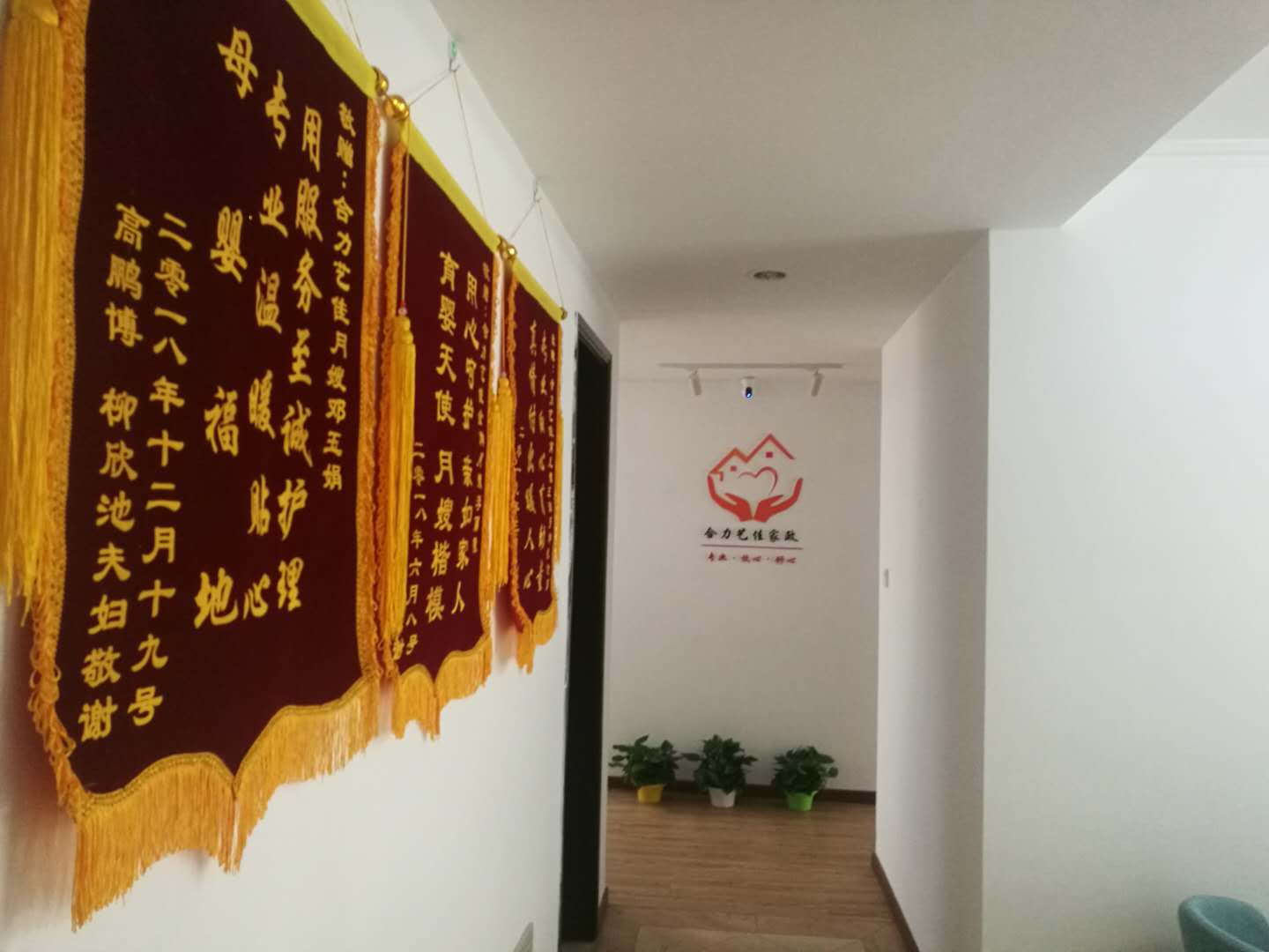 荣誉墙 荣誉墙