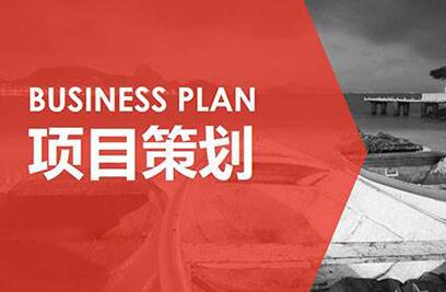 项目策划