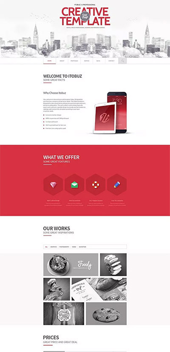 真实项目案例一