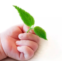 资深高级育婴师