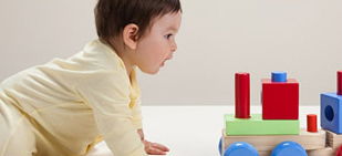 婴幼儿的早期教育 婴幼儿的早期教育