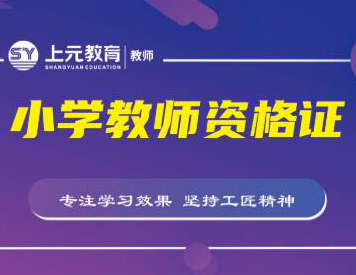小学教师资格证笔试培训