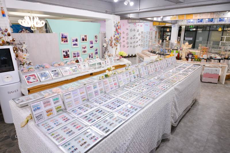 前台作品展示区 前台作品展示区