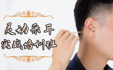 长沙灵动采耳实战培训班