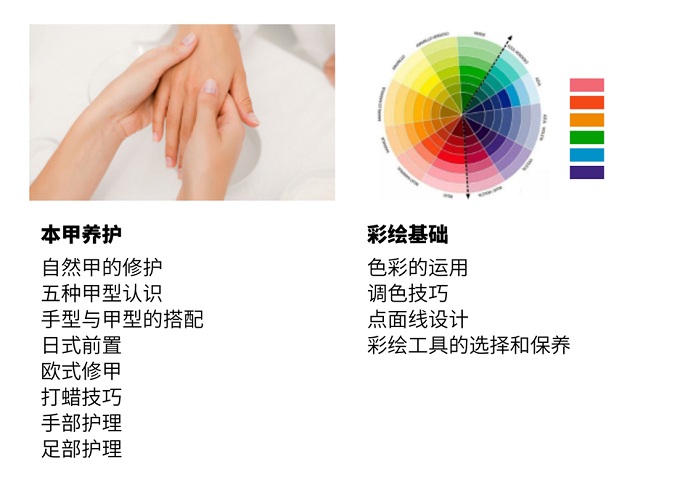 本甲养护和彩绘基础