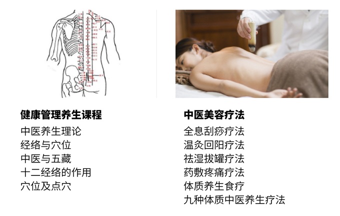 健康管理养身和中医美容疗法