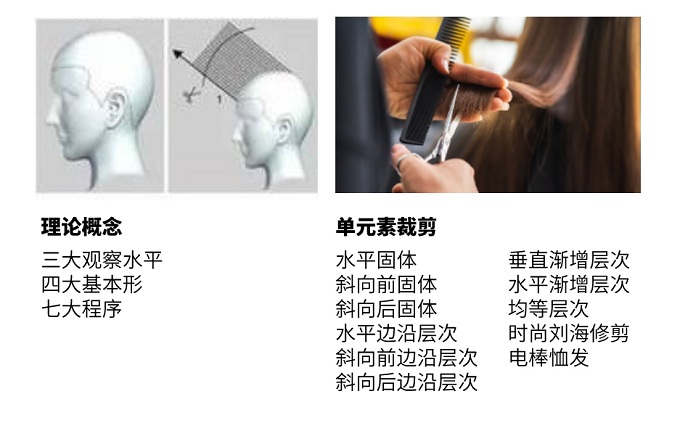 理论概念 理论概念