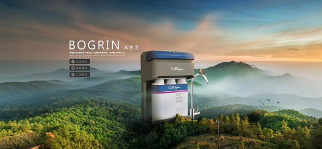 网站设计 网站设计