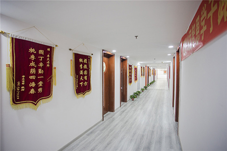 荣誉走廊 荣誉走廊