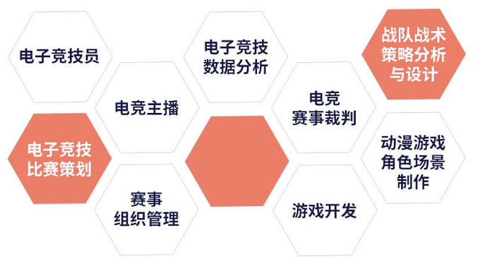 学了游戏 毕业后我能干什么