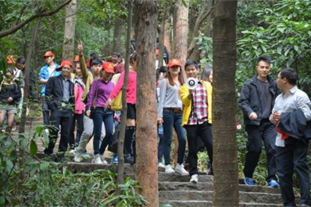 户外拓展  户外拓展