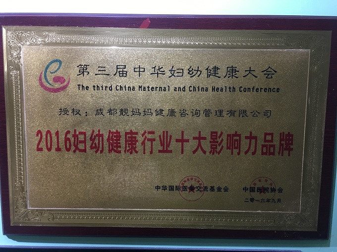 十大影响力品牌