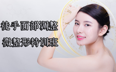 成都徒手面部调整微整形特训班