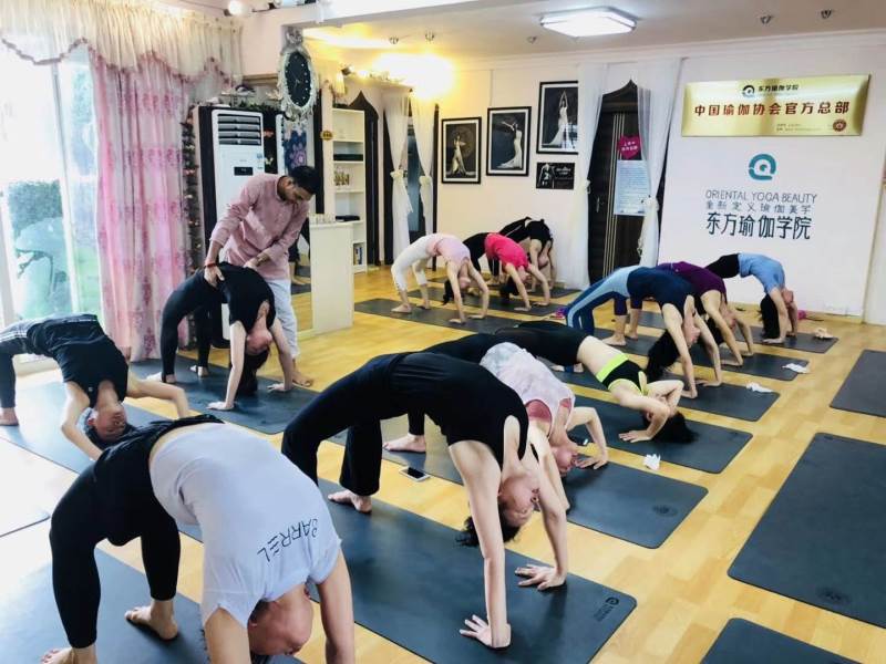 体式练习 体式练习