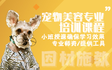 杭州宠物美容专业培训课程