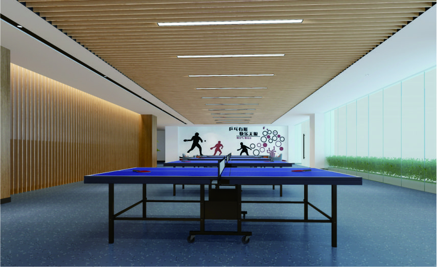 運動區(qū)域——乒乓球