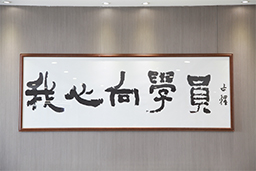文化墙 文化墙