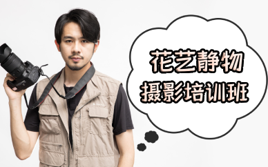 成都花艺静物摄影培训班