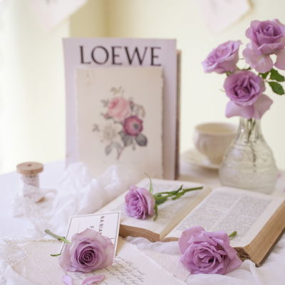 静物摄影 静物摄影