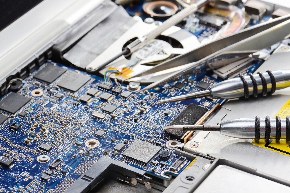 培养方向 培养方向