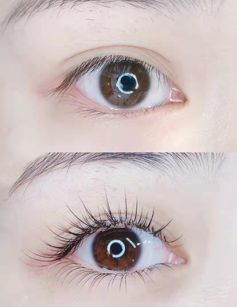 美睫 美睫