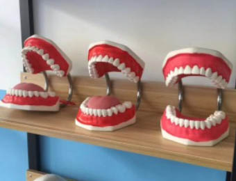 关于口腔修复工艺