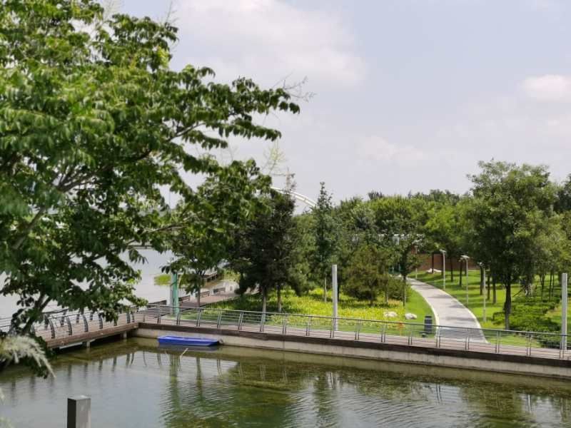 校園校道 校園校道
