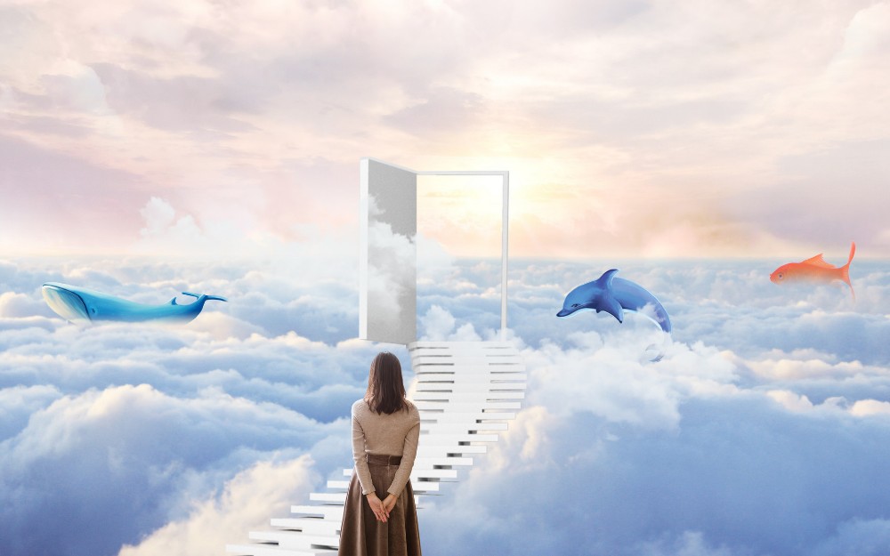 证书介绍 证书介绍