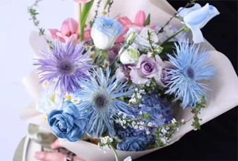 學(xué)員作品 學(xué)員作品