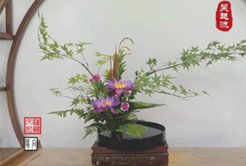 作品分享 作品分享