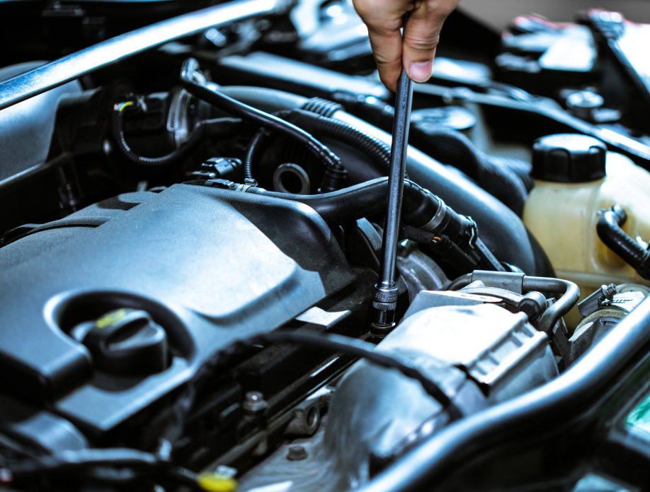 培养目标 培养目标